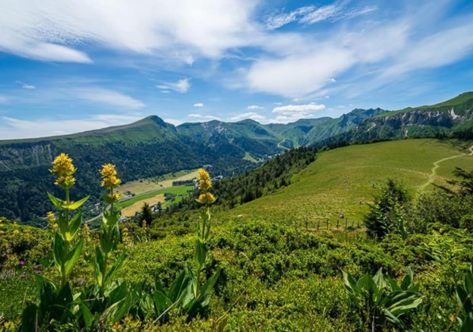 Appt Lumineux, Thermes Et Montagne Apartment La Bourboule