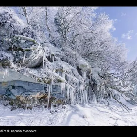 Appt Lumineux, Thermes Et Montagne La Bourboule Exterior foto