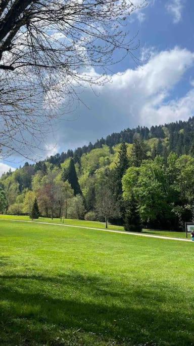 Appt Lumineux, Thermes Et Montagne Appartement La Bourboule