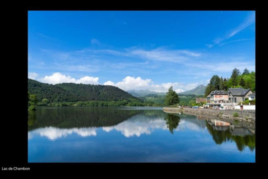 Appt Lumineux, Thermes Et Montagne La Bourboule