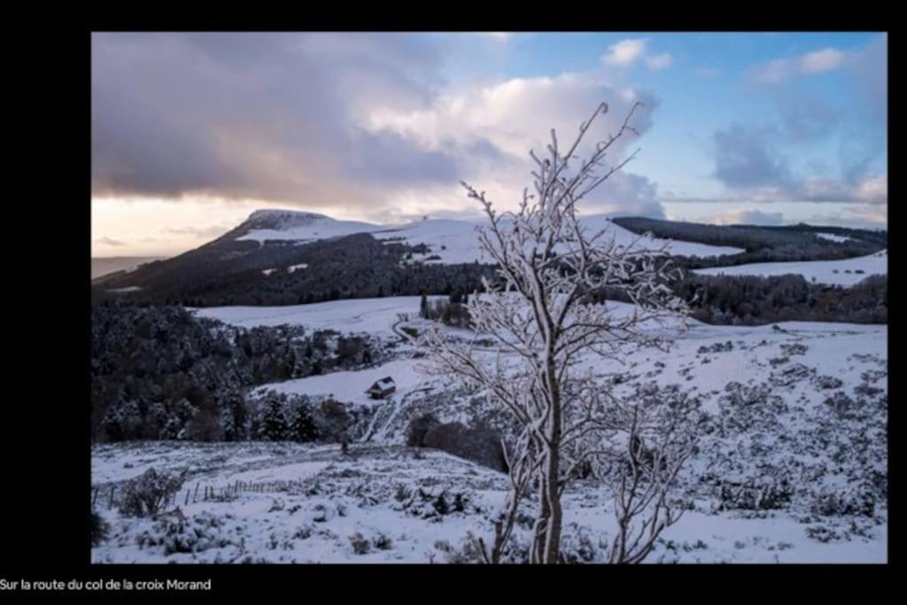 Appartement Appt Lumineux, Thermes Et Montagne La Bourboule