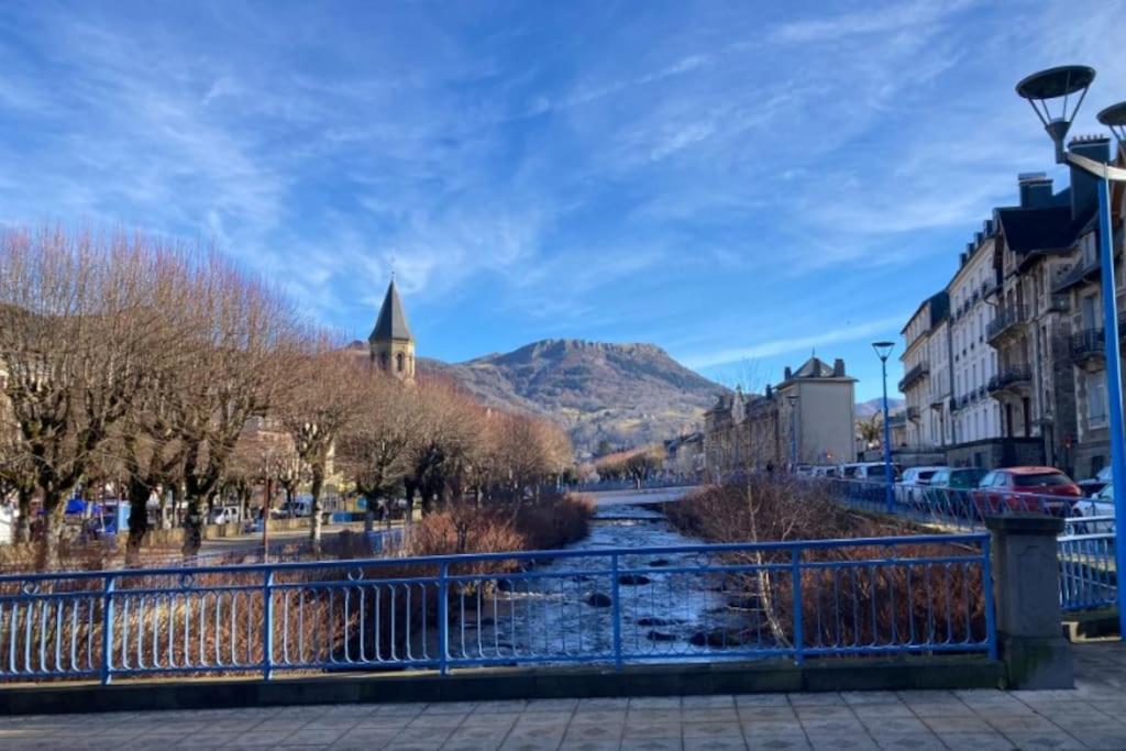 Appt Lumineux, Thermes Et Montagne *