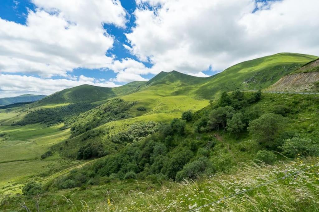 Appt Lumineux, Thermes Et Montagne * La Bourboule