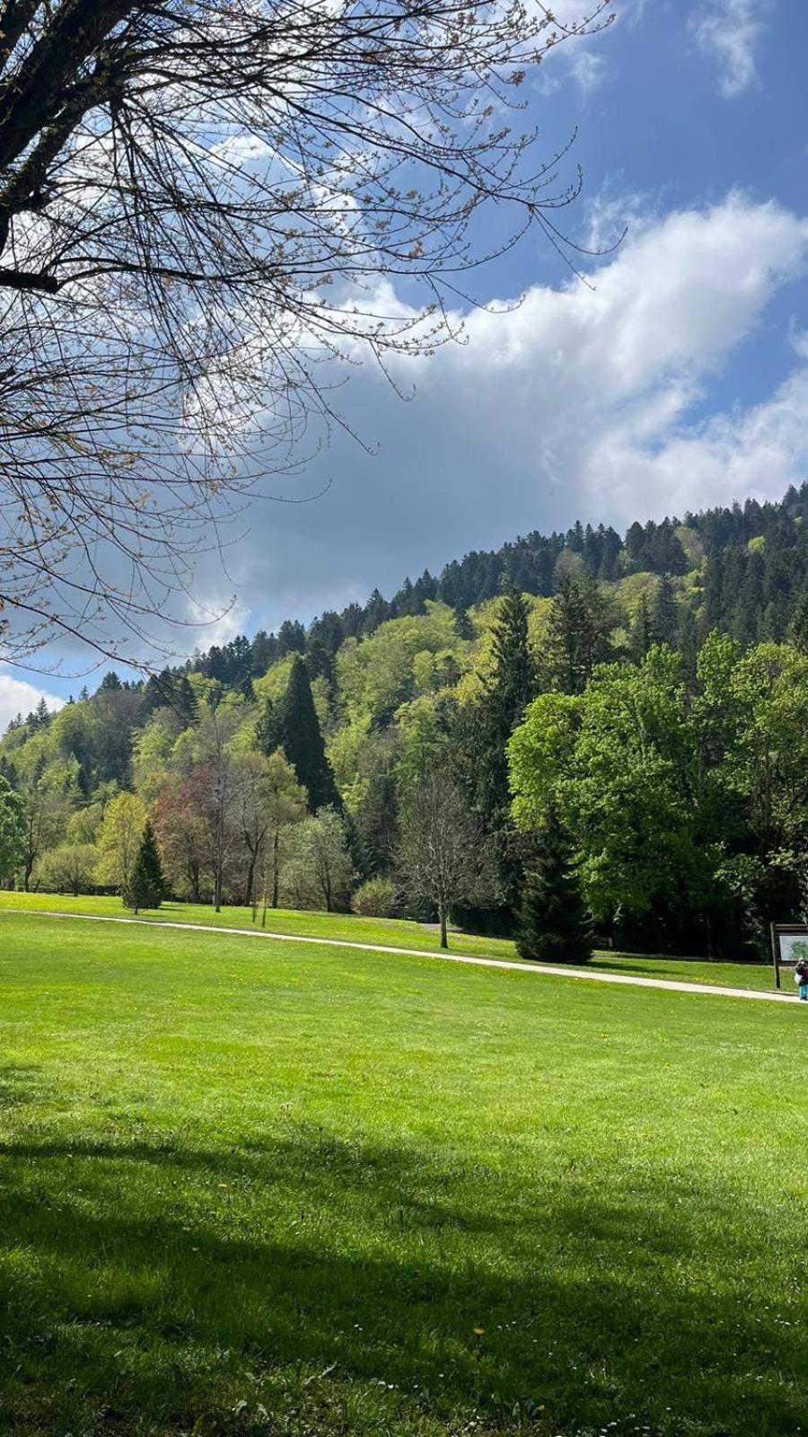 Appt Lumineux, Thermes Et Montagne La Bourboule