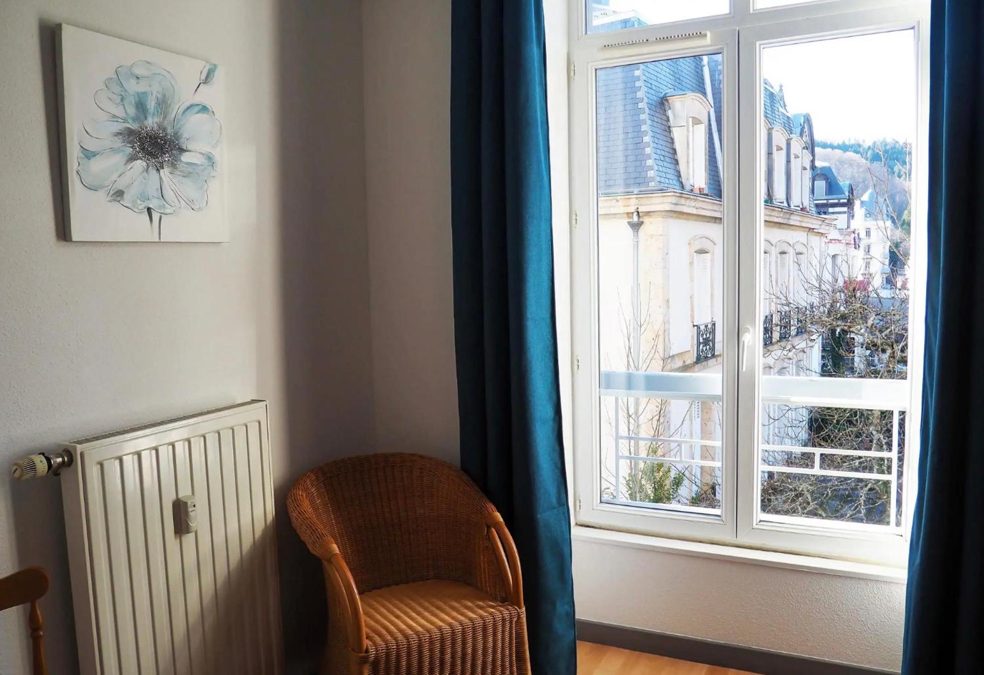 Appt Lumineux, Thermes Et Montagne La Bourboule